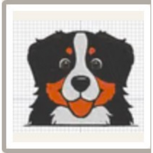 Bovaro_del_Bernese