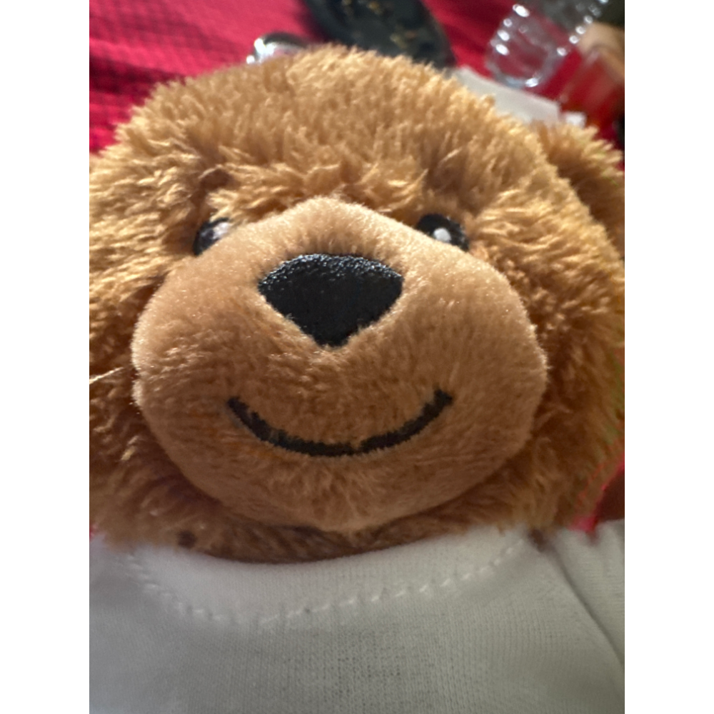 Teddy Personalizzato